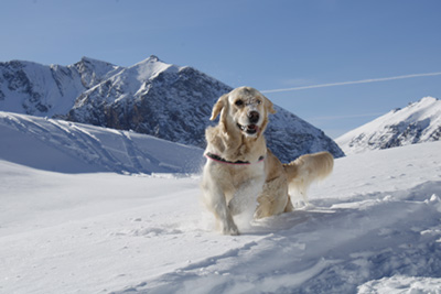 I controlli per le cardiopatie